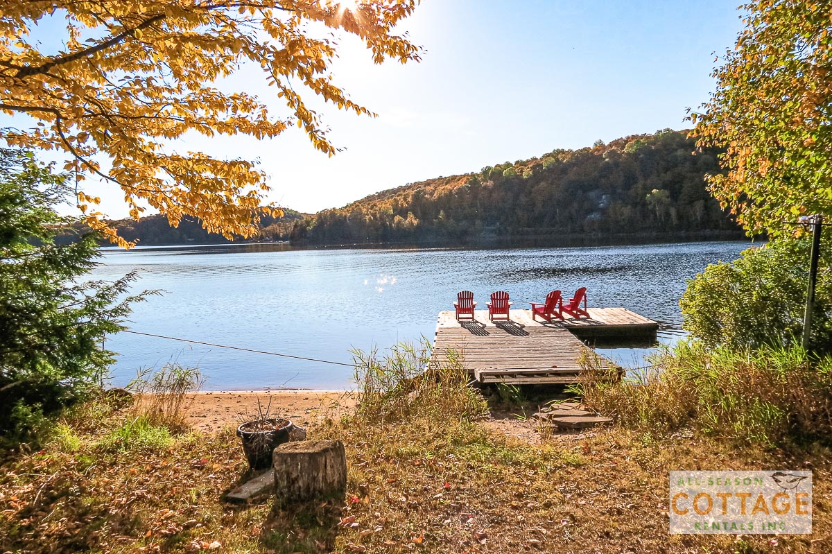 Dock and beach