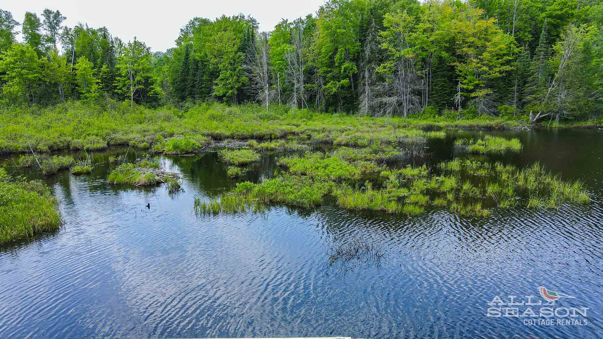Beaver Bay-36
