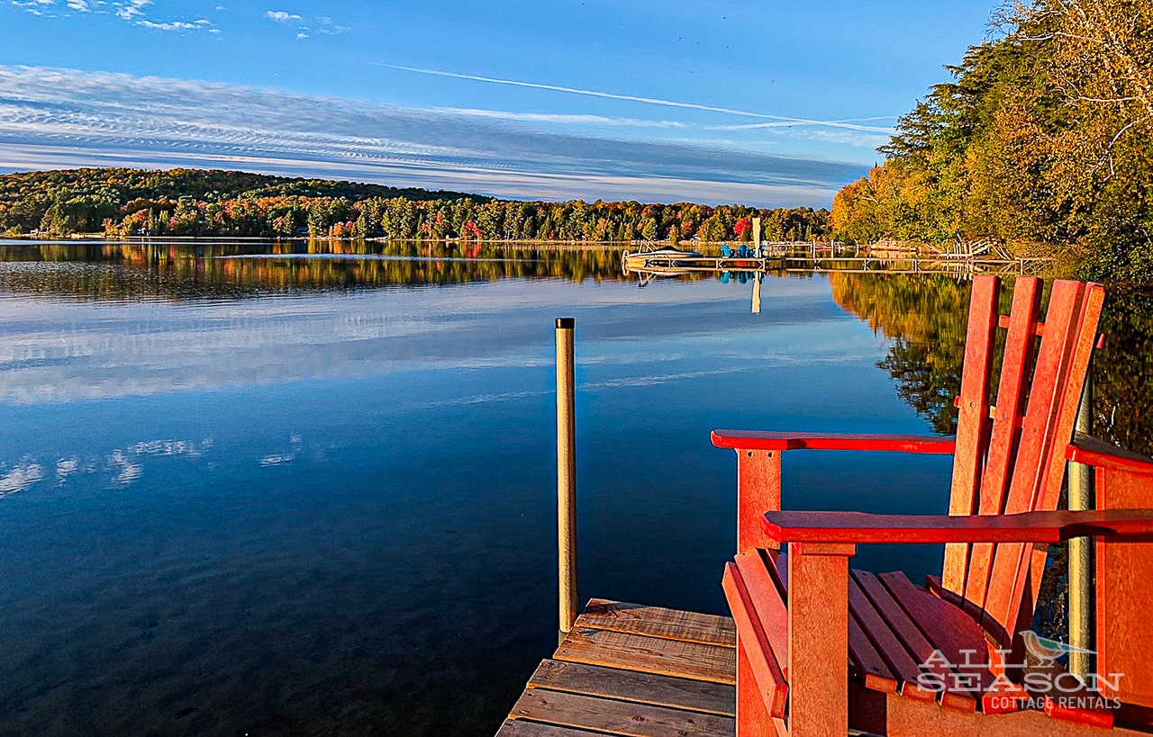 Whip-poor-will-View to the right