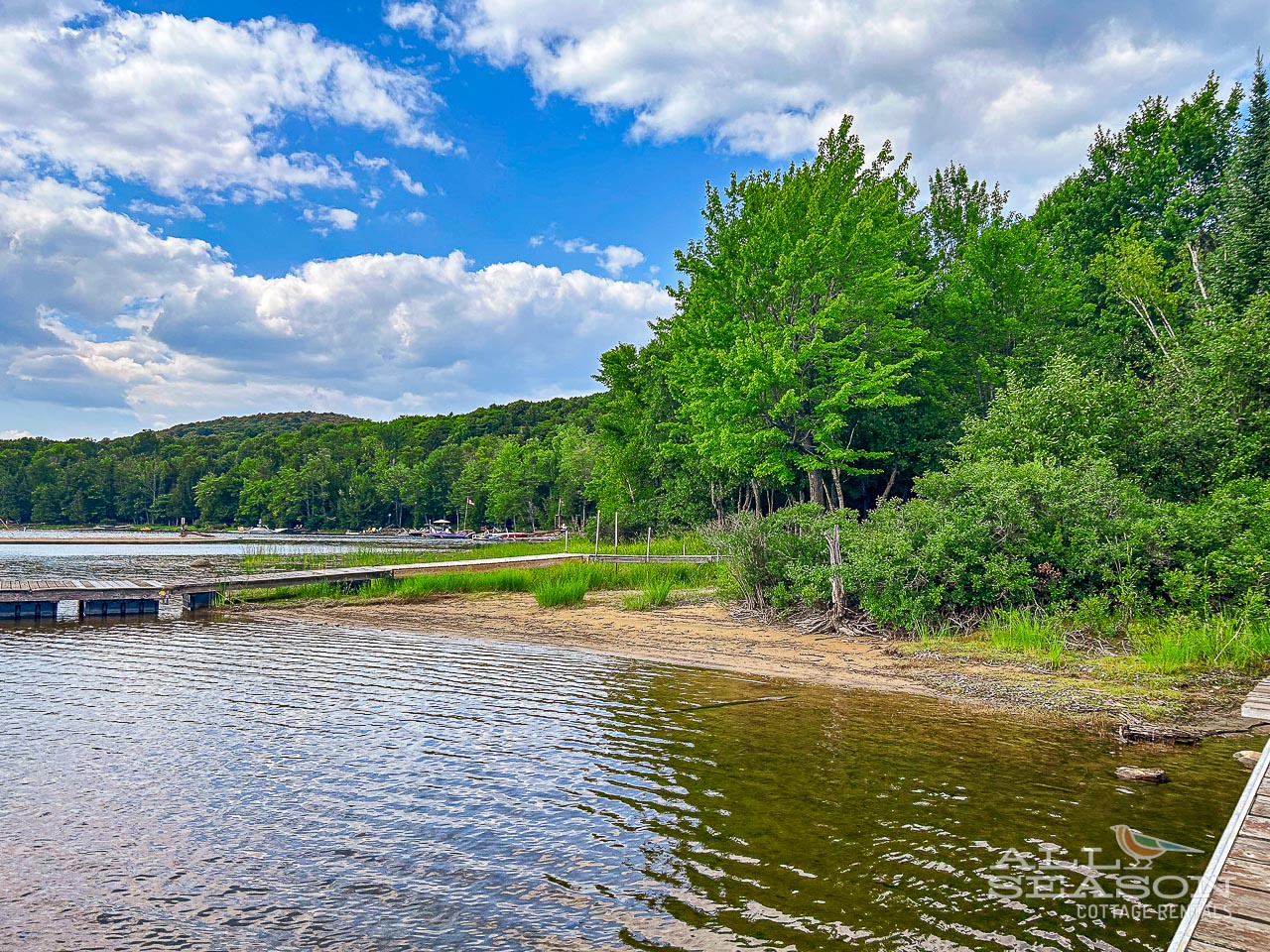 Dockside-Drift-Shoreline looking left of dock