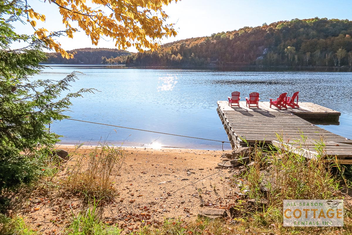 Beach and dock