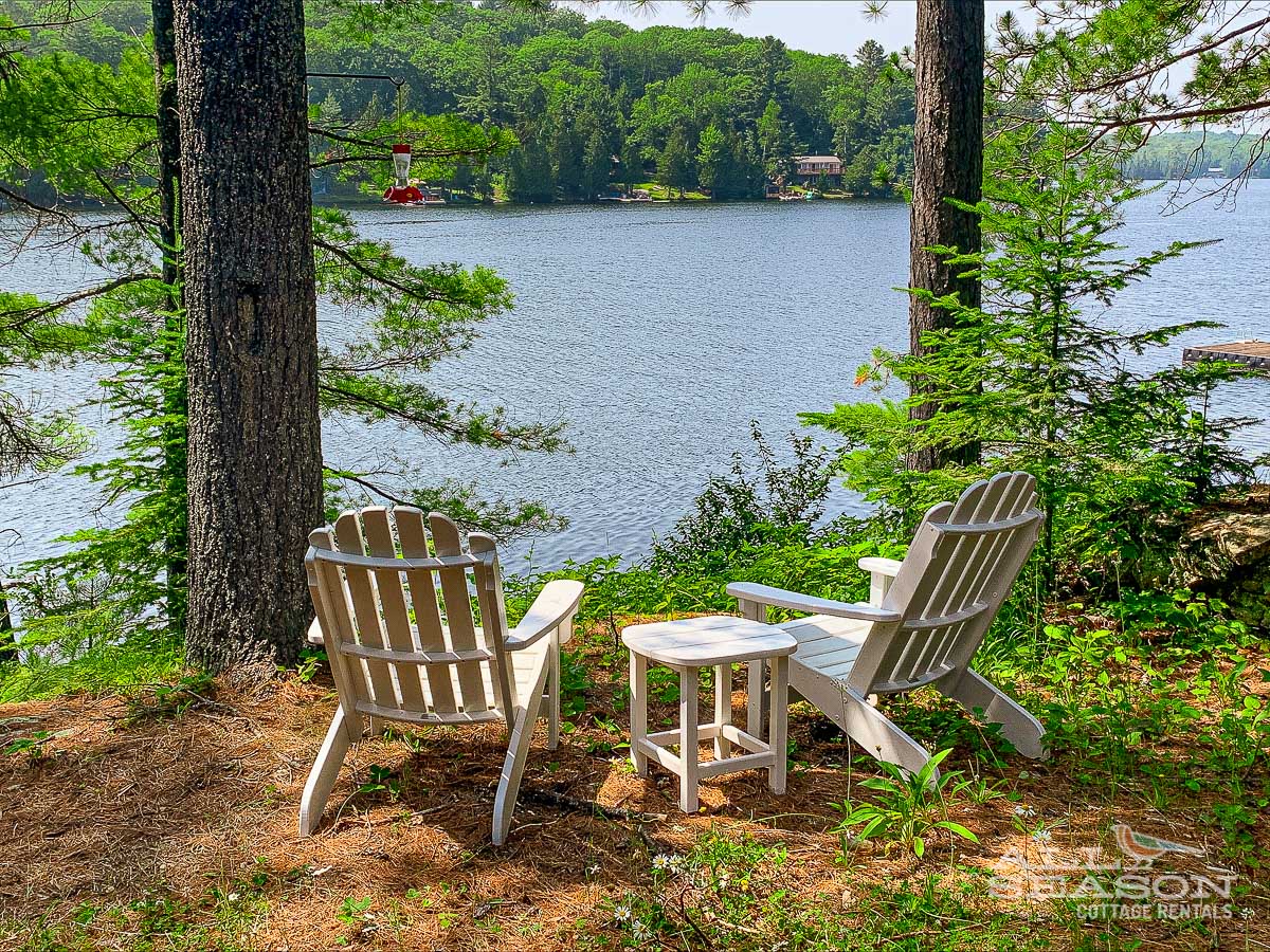 Sunny_LakeSide-1-26