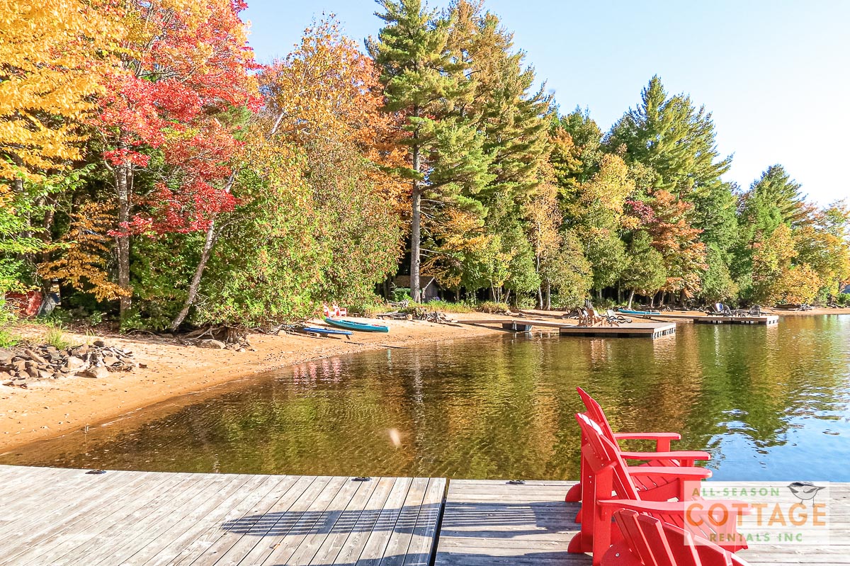Dock and beach