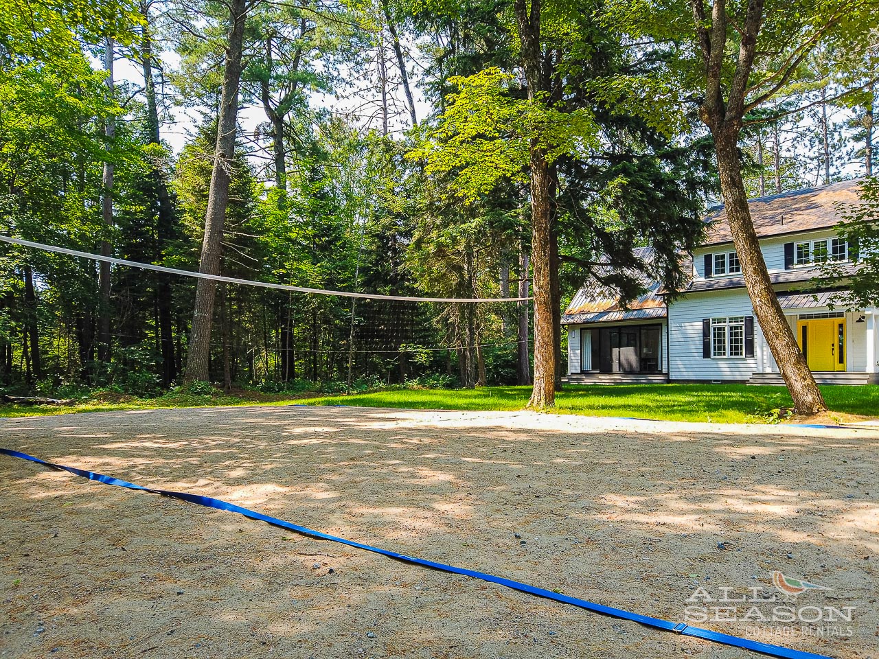 Challenge friends to volleyball matches on your private court, surrounded by towering trees and peaceful forest views.