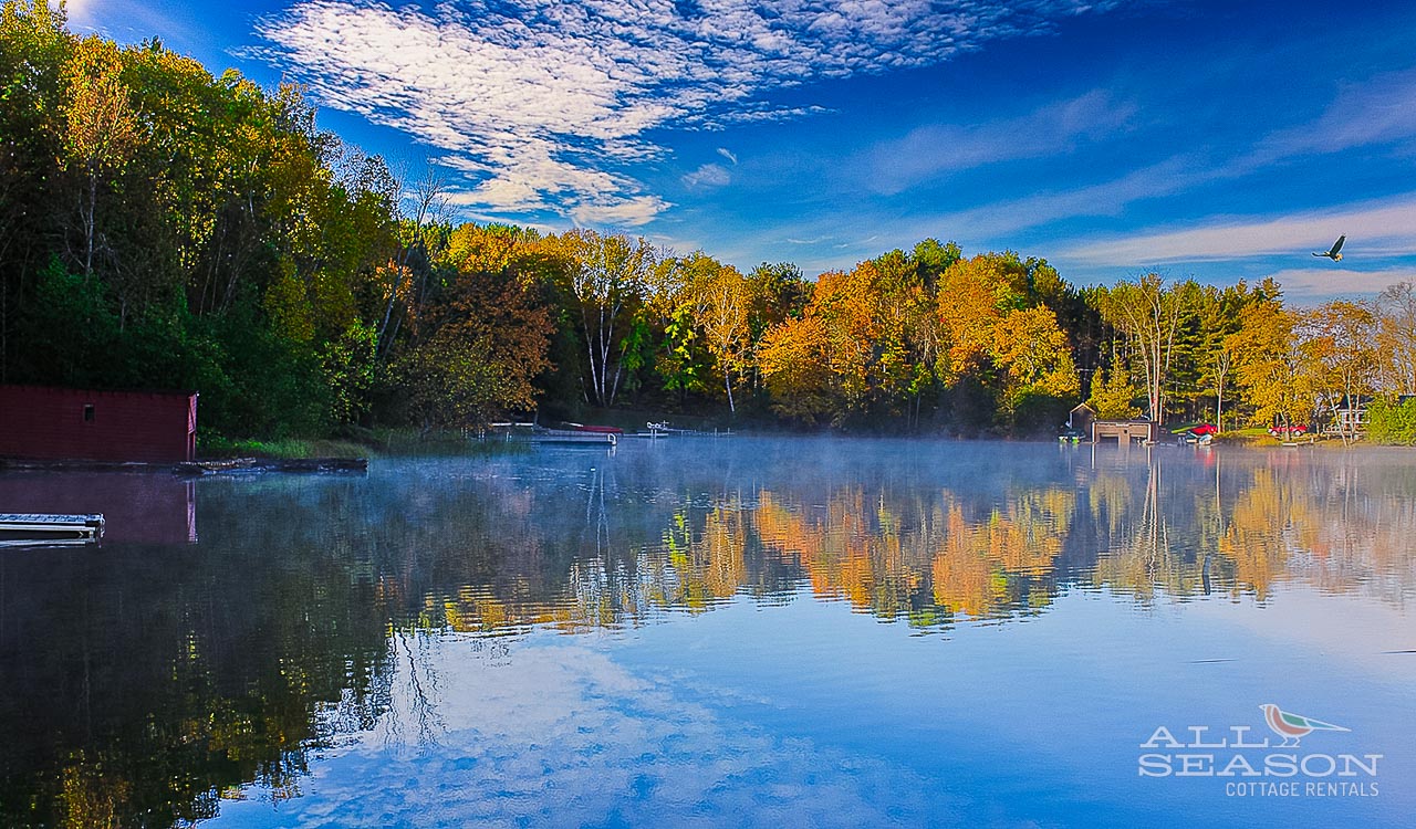 Whip-poor-will-View of the bay