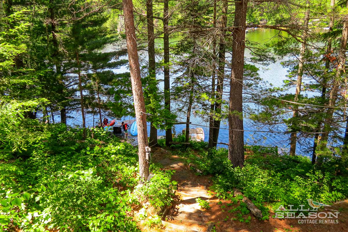 Sunny_LakeSide-1-29