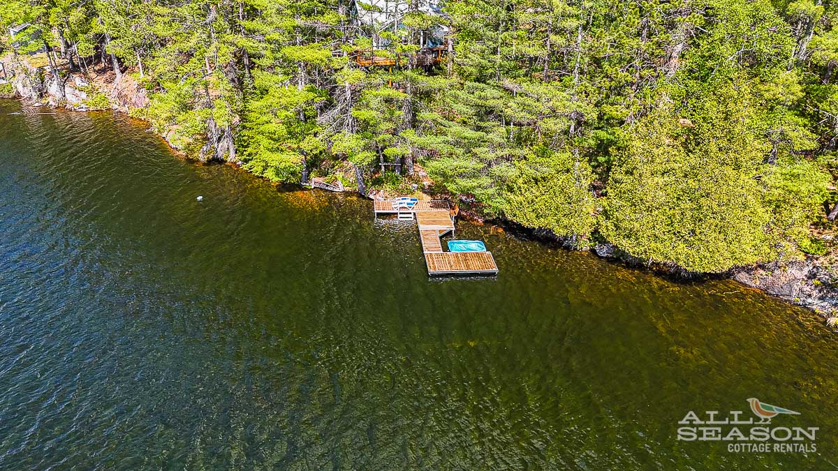 Sunny Lakeside