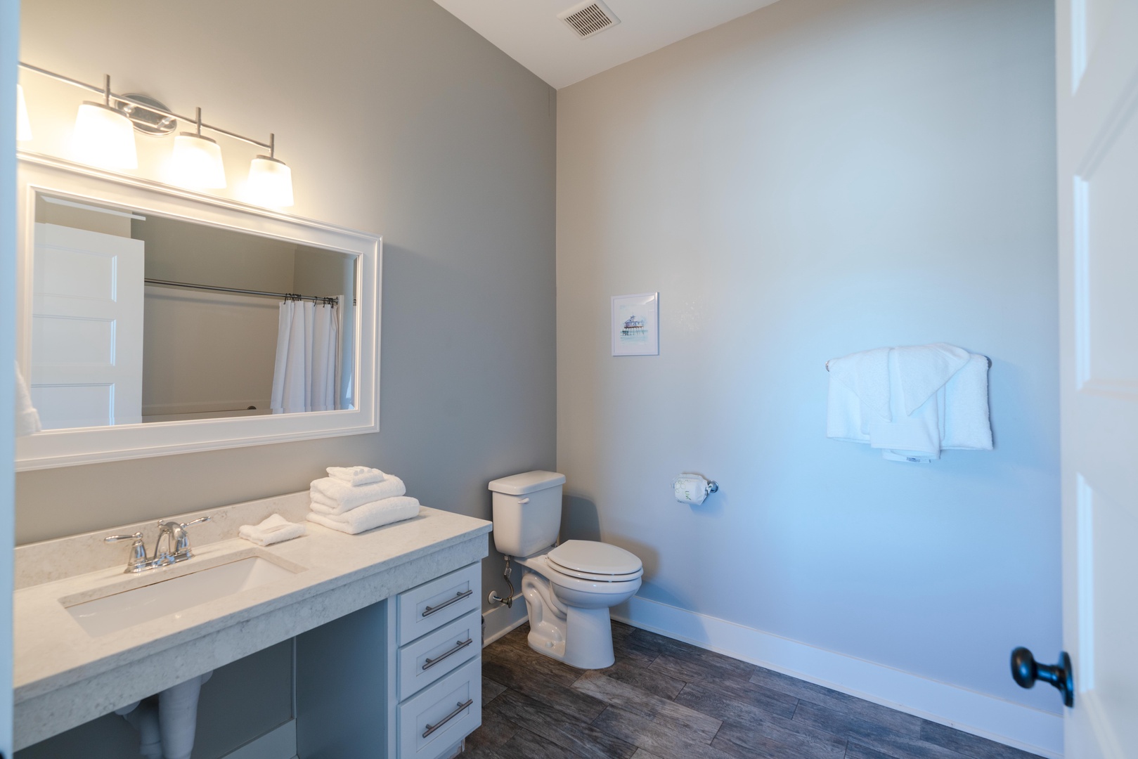 Master bath with walk-in shower and handicap accessible bars