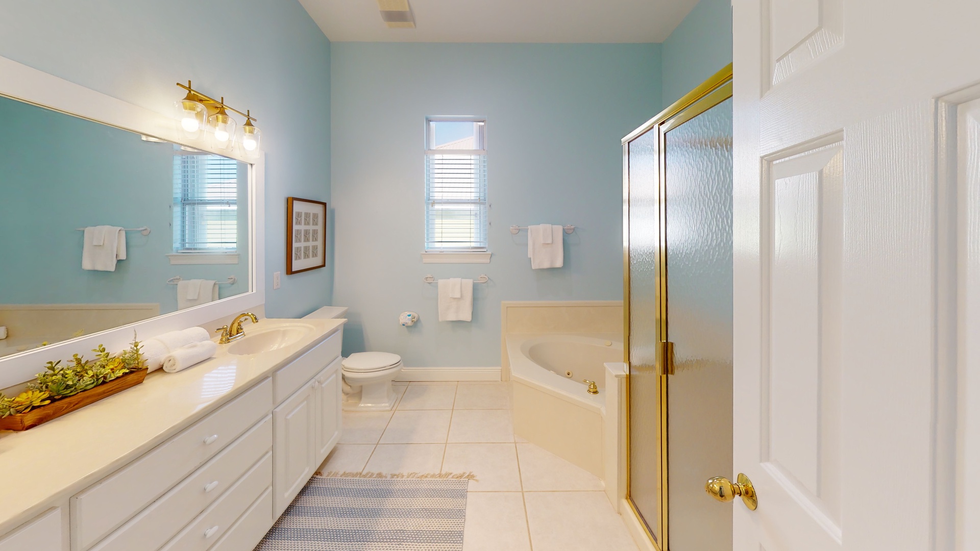 Master bathroom features a double vanity, jacuzzi tub and walk-in shower