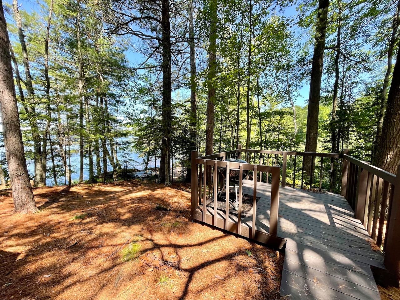 Step onto your private deck surrounded by towering trees with glimpses of serene lake waters beyond the forest canopy.