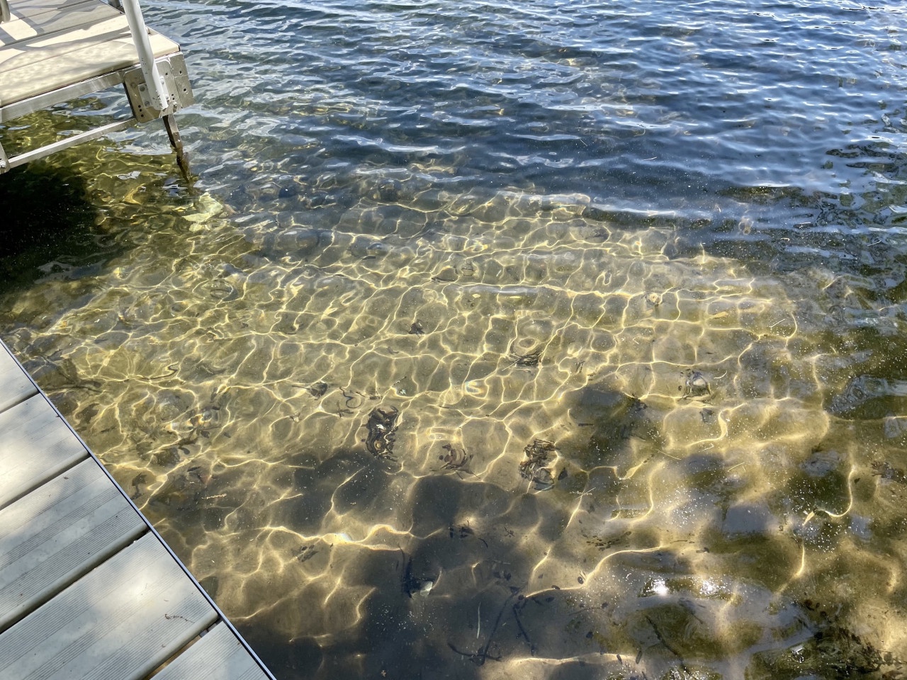 Crystal-clear lake water with shimmering sunlight patterns creates a tranquil swimming spot right from your private dock.