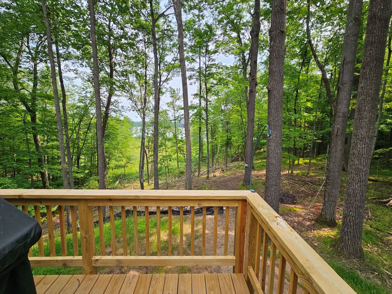Step onto your private deck and breathe in the fresh forest air while enjoying peaceful woodland views through towering trees.
