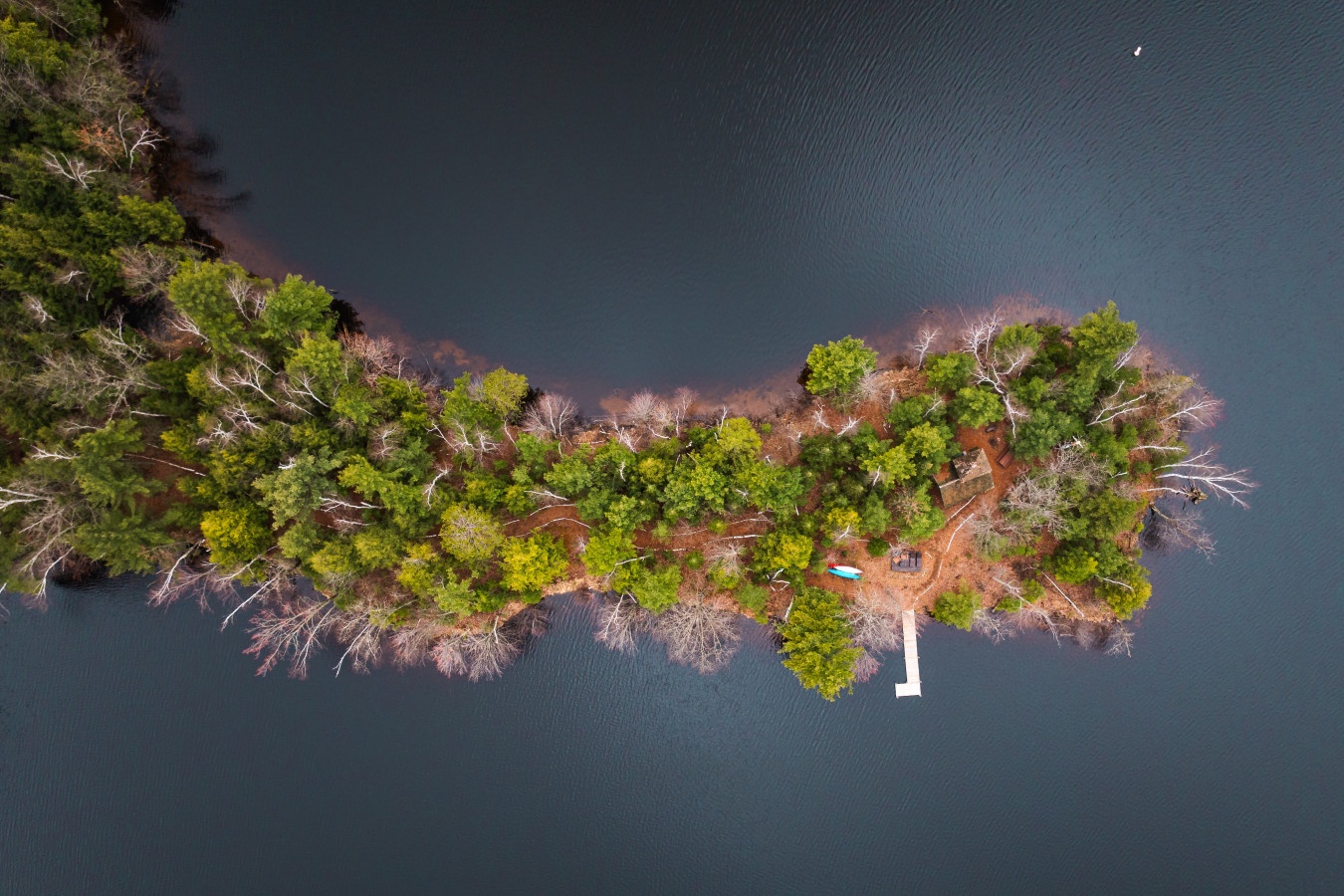 Secluded lakefront property nestled on a private wooded peninsula with dock access.