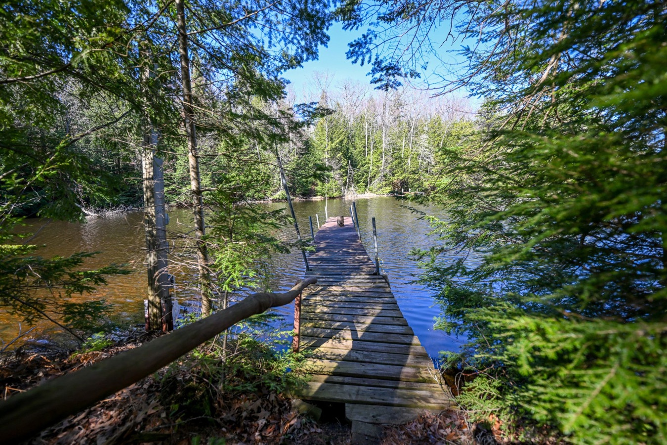 A wooden dock extends into a serene lake surrounded by lush forest. The property offers peaceful waterfront access in this natural woodland setting.
