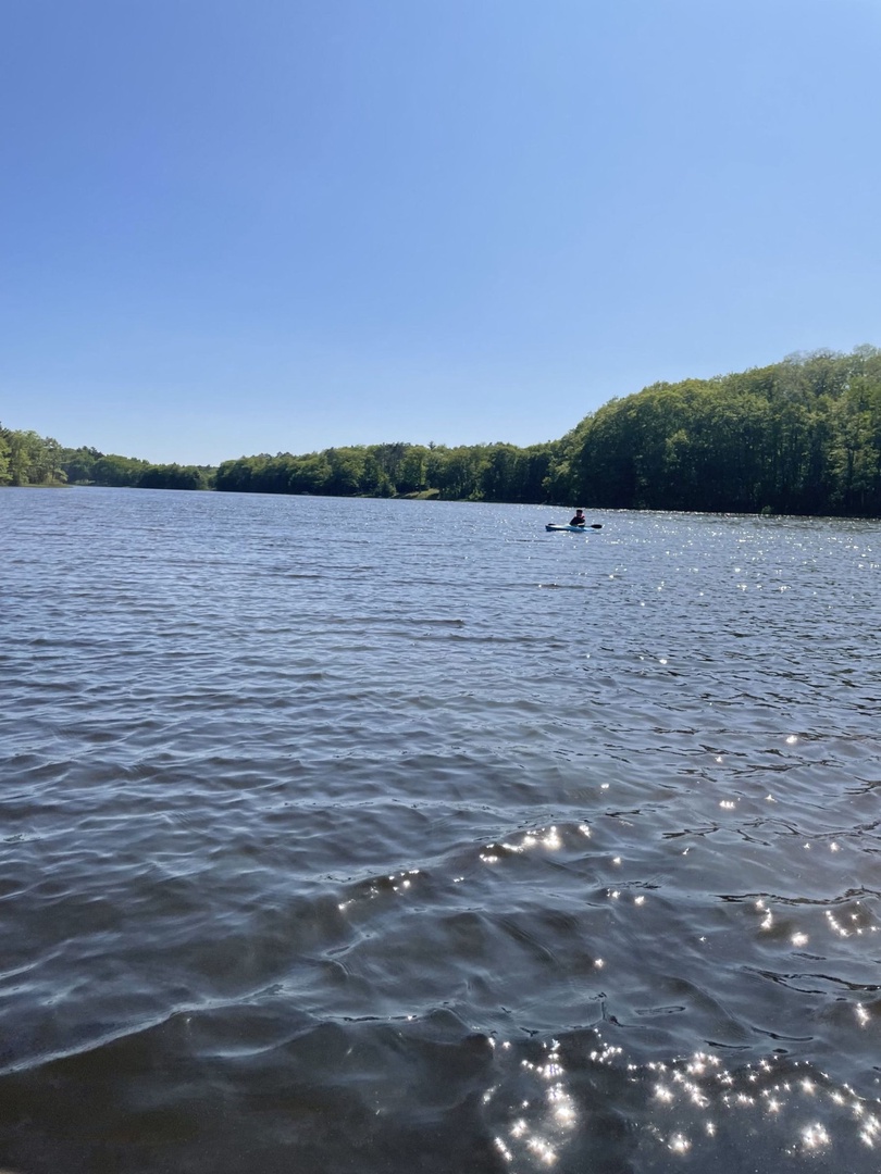 Peaceful lake surrounded by lush forest offers perfect kayaking and swimming opportunities under clear blue skies.