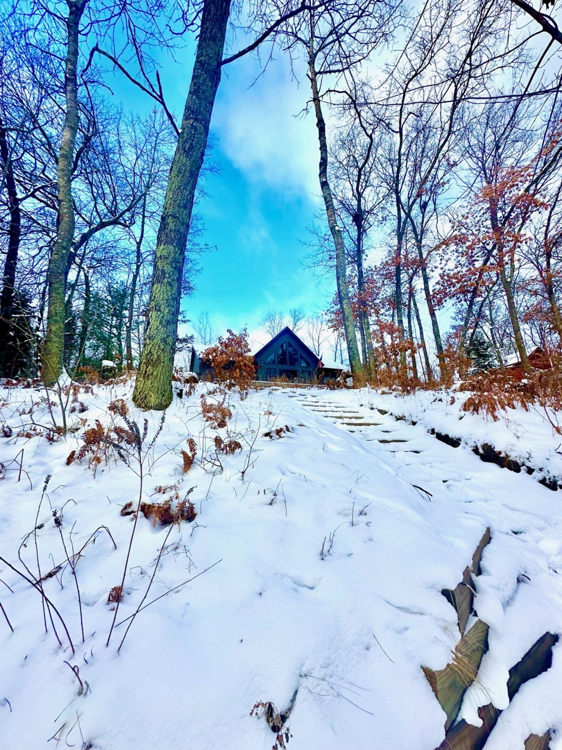 A charming cabin nestled among tall trees in a pristine winter wonderland, offering peaceful forest surroundings and seasonal beauty.
