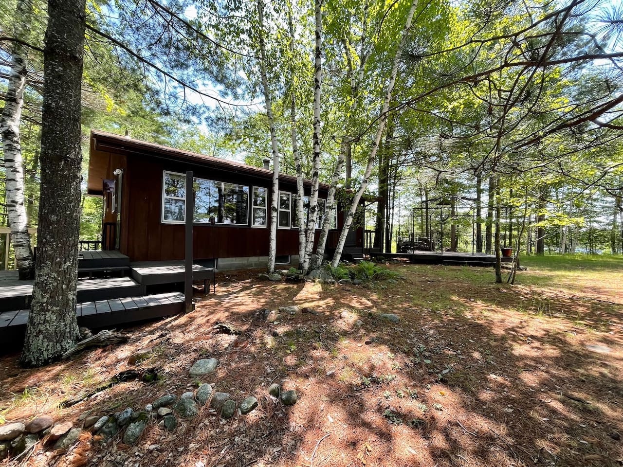 Charming forest cabin nestled among towering birch trees, offering your perfect woodland retreat with natural tranquility.