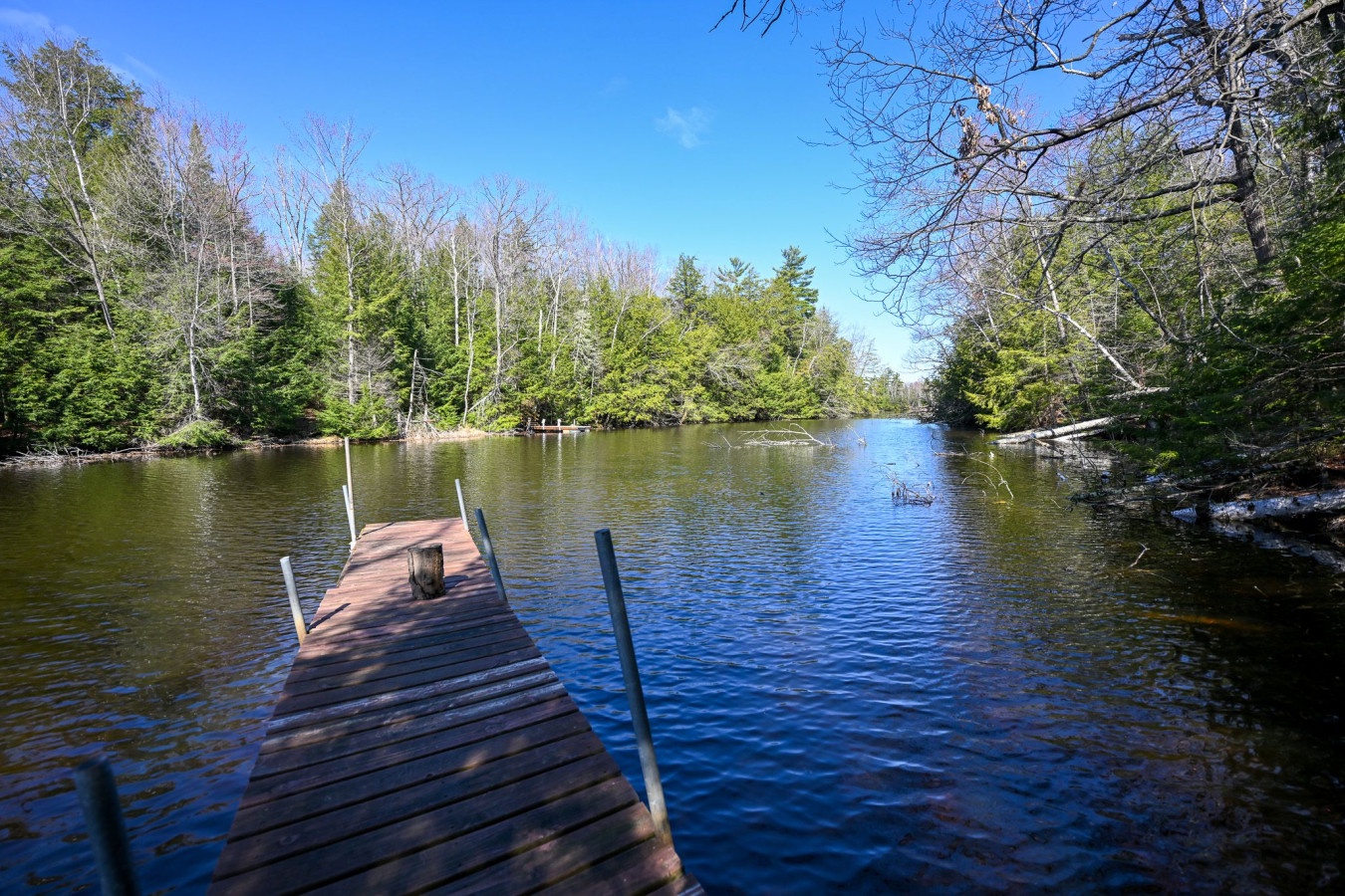 Pristine lake surrounded by dense forest creates a peaceful natural setting near the property.