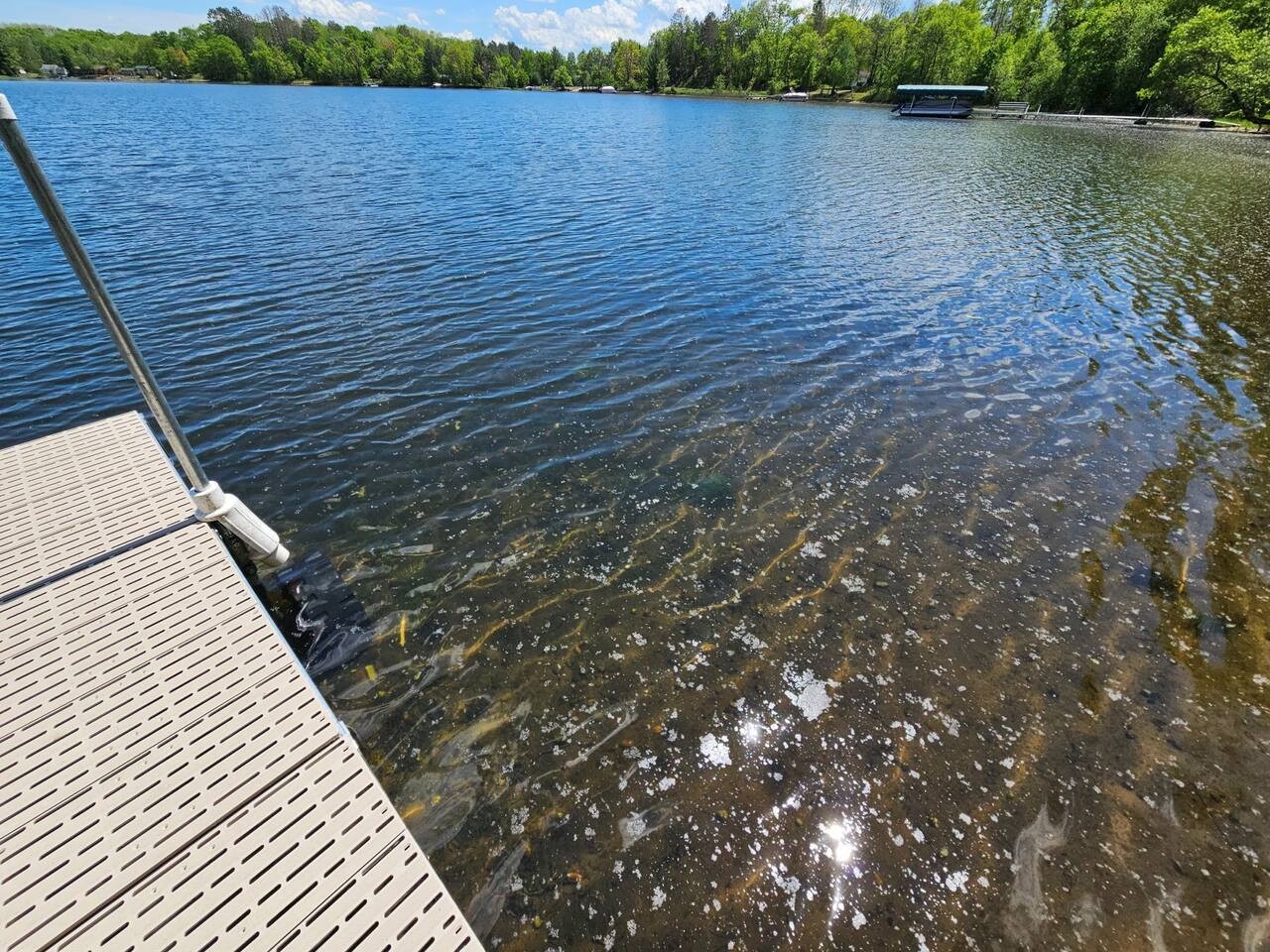 A pristine lake surrounded by lush forests offers crystal-clear waters and peaceful natural beauty in the surrounding area.