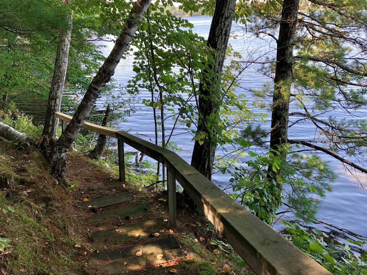A wooden walkway leads through tranquil forest to pristine lakefront waters, surrounded by lush greenery.