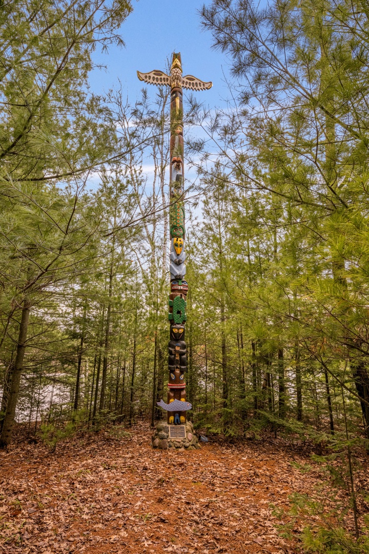 Towering totem pole stands majestically among tall trees, showcasing vibrant Native American artistry in this peaceful forest setting.