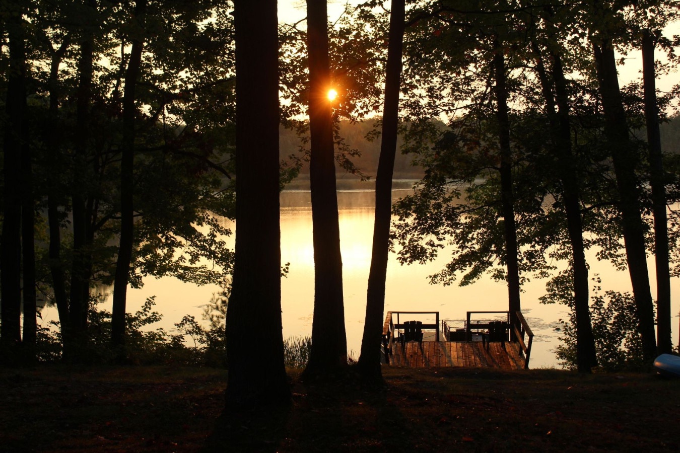 Golden sunset filters through towering trees, casting warm light over the tranquil lakefront and private dock.