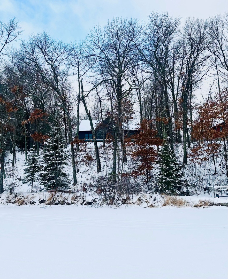 A charming winter retreat nestled among snow-covered trees and evergreens, creating a peaceful woodland setting.