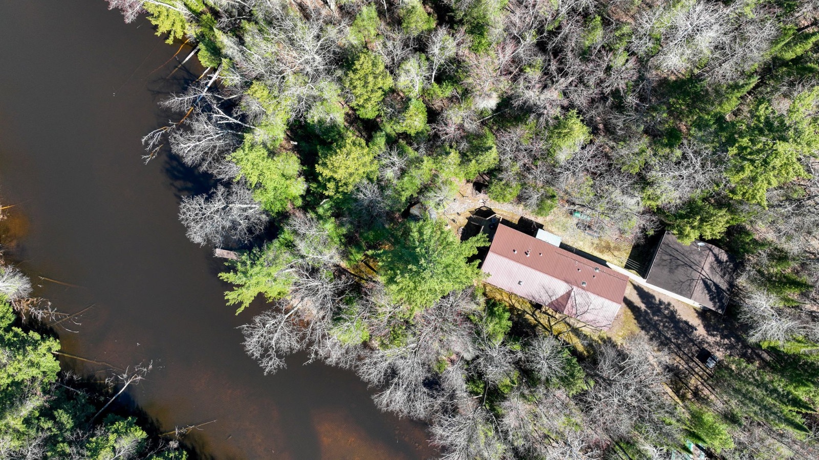 Secluded waterfront retreat nestled among lush trees with direct lake access and peaceful natural surroundings.