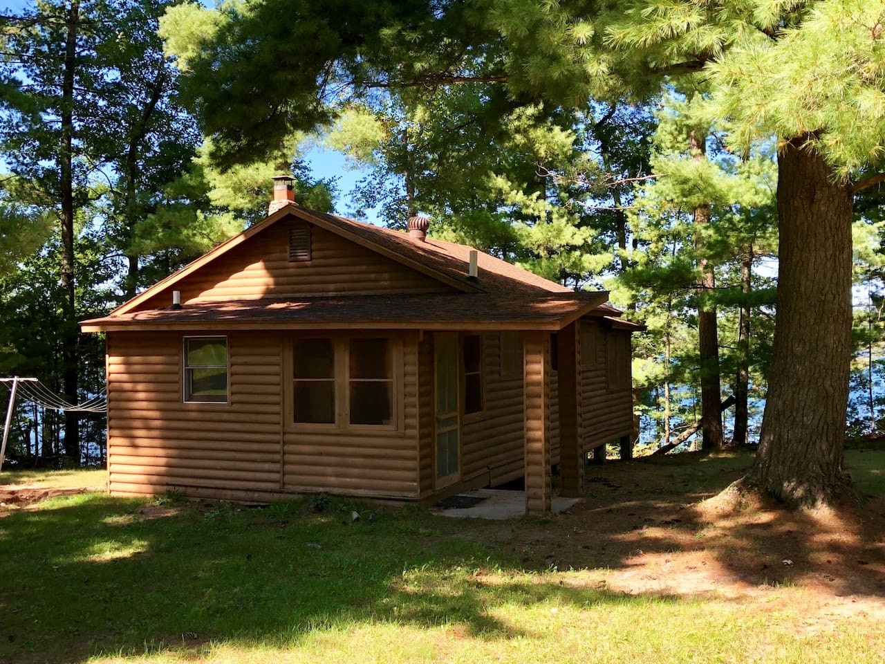 Charming log cabin nestled among towering trees offers a peaceful woodland retreat with rustic appeal and natural surroundings.