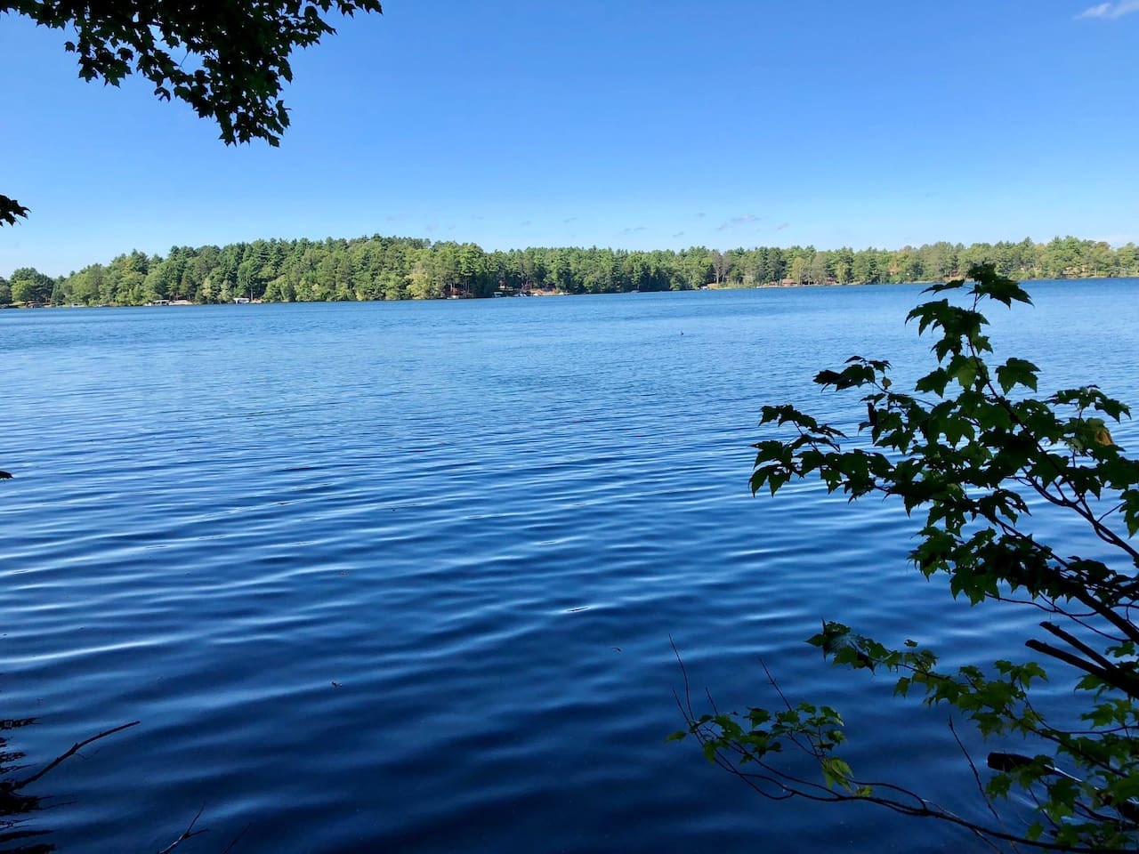 Pristine lake surrounded by dense forest with gentle ripples reflecting the clear blue sky and scattered lakefront properties.