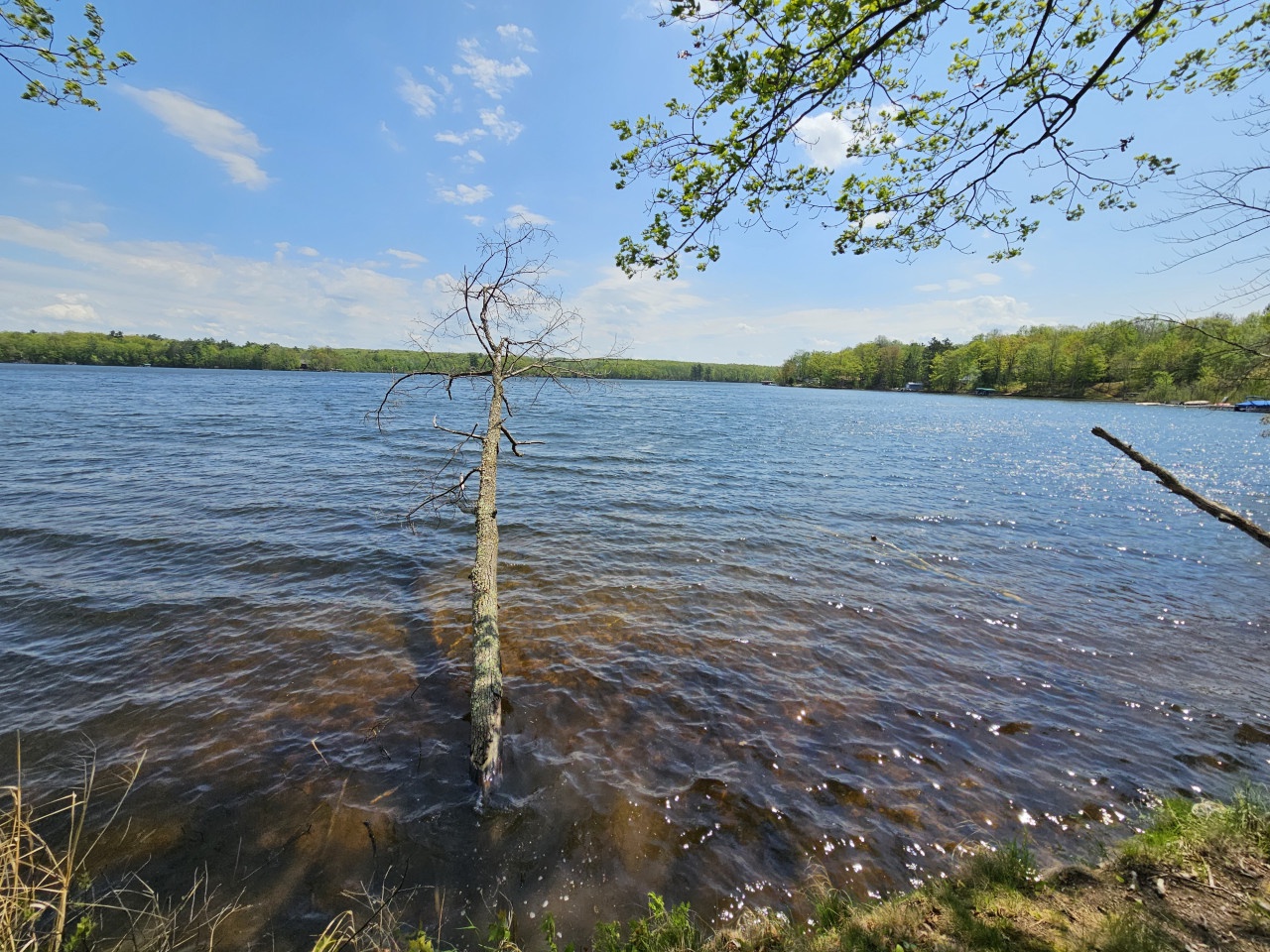 Peaceful lake surrounded by lush spring greenery offers scenic beauty near the property.