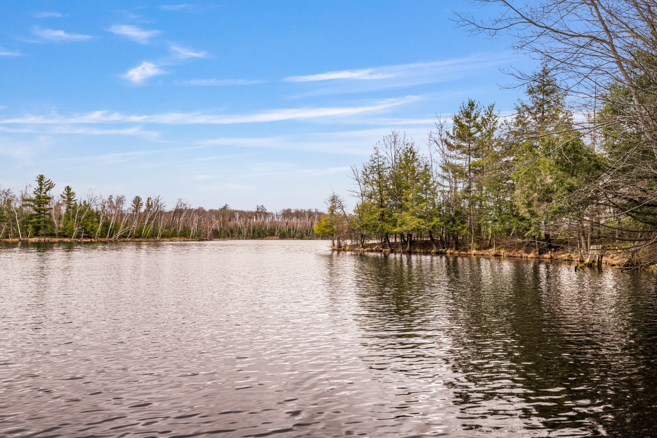 Peaceful lake surrounded by natural forest landscape with spring foliage and blue skies in the surrounding area.