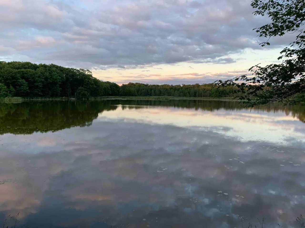 A peaceful lake mirrors soft evening clouds, surrounded by lush forest in the property's natural surroundings.