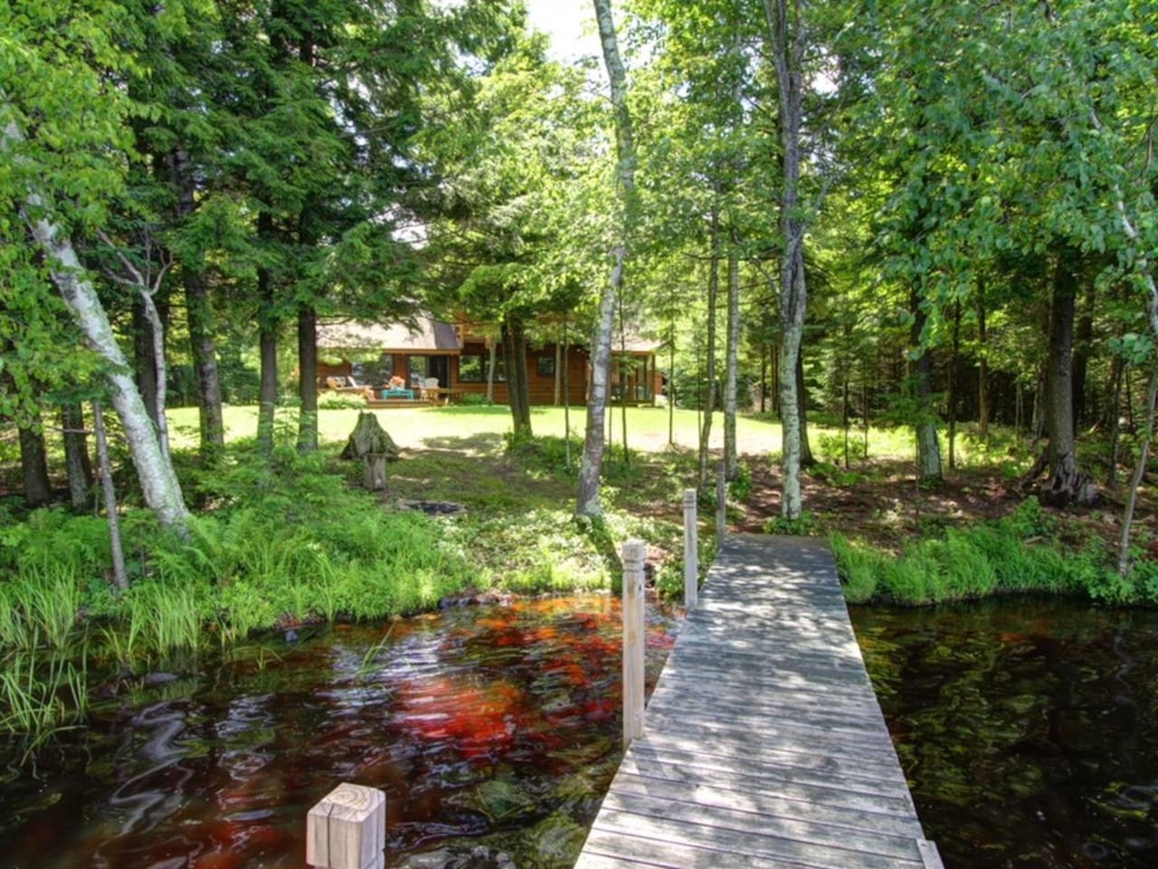 Secluded forest retreat with private dock overlooking peaceful waters surrounded by towering trees.