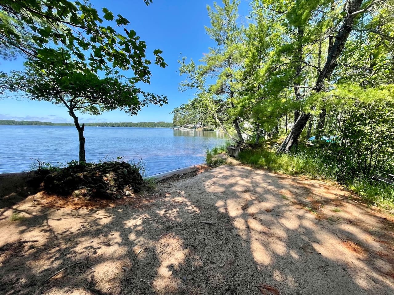 A serene lakeside retreat where crystal waters meet lush forest shoreline under brilliant blue skies.