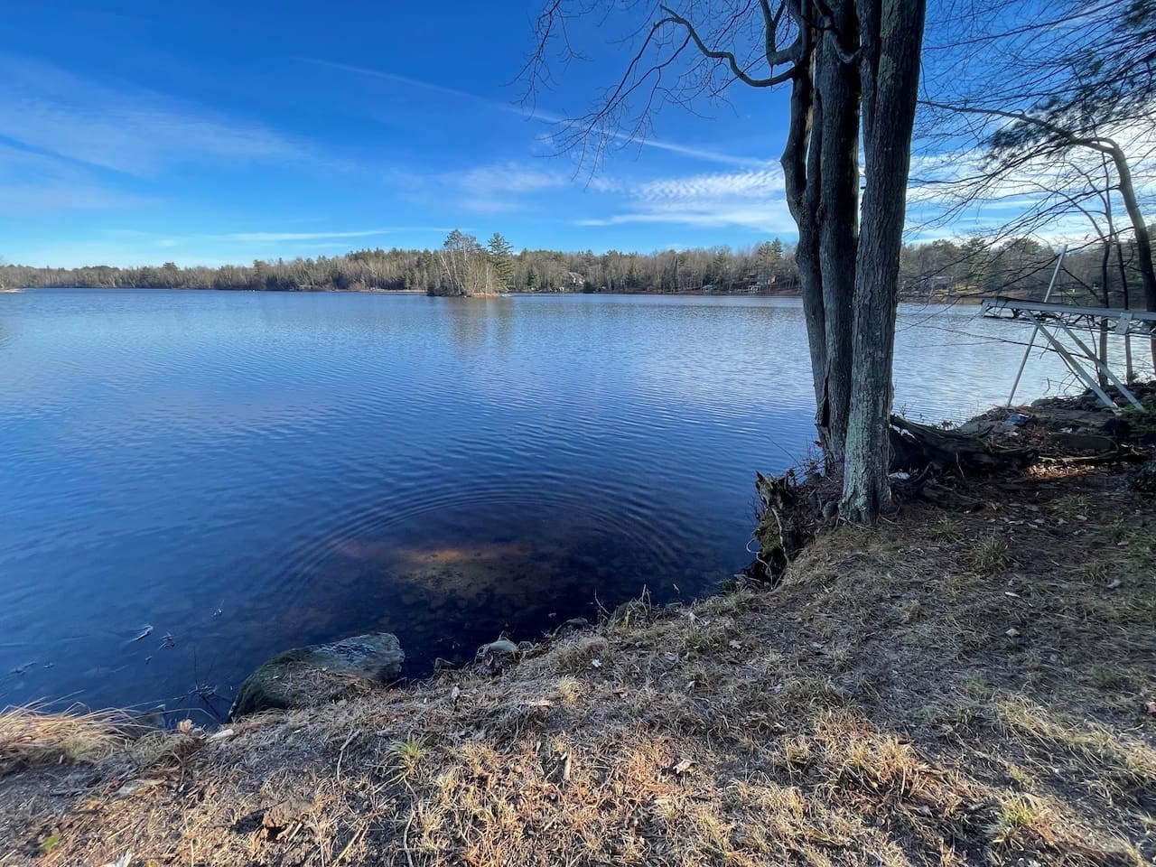 Pristine lakefront setting with crystal-clear waters reflecting brilliant blue skies and surrounding forest wilderness.