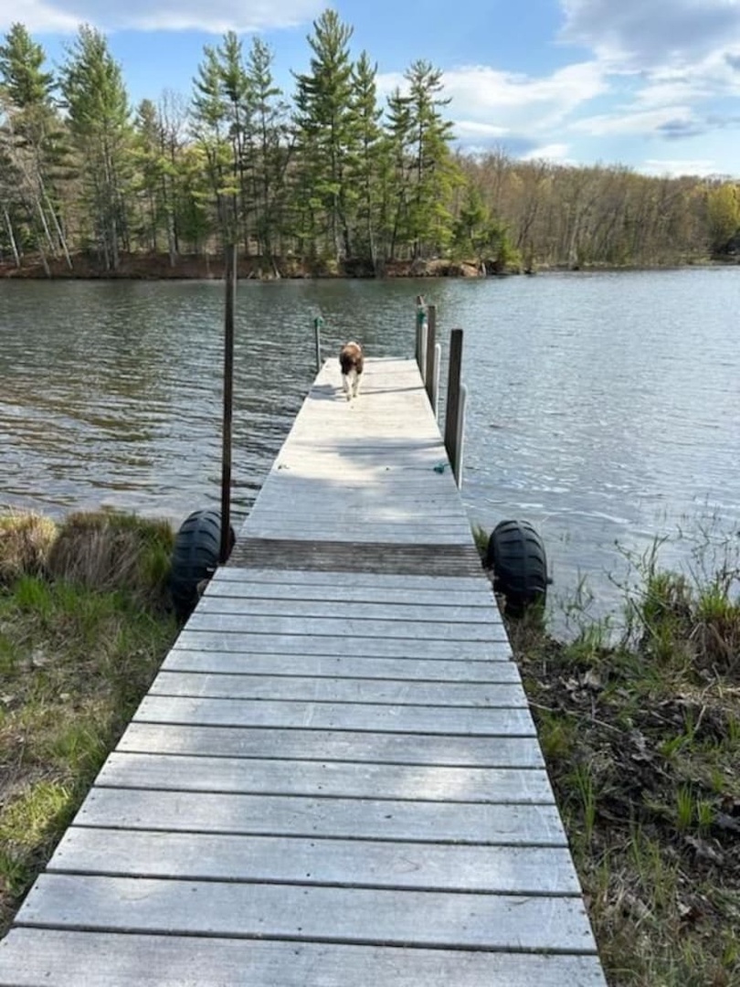 A private dock extends into the peaceful lake, surrounded by forest and perfect for quiet moments with furry companions.