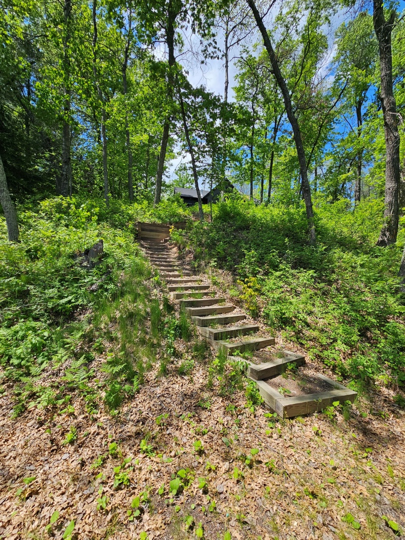 Wooden steps wind through lush forest toward the property, creating a peaceful woodland approach surrounded by towering trees and vibrant greenery.