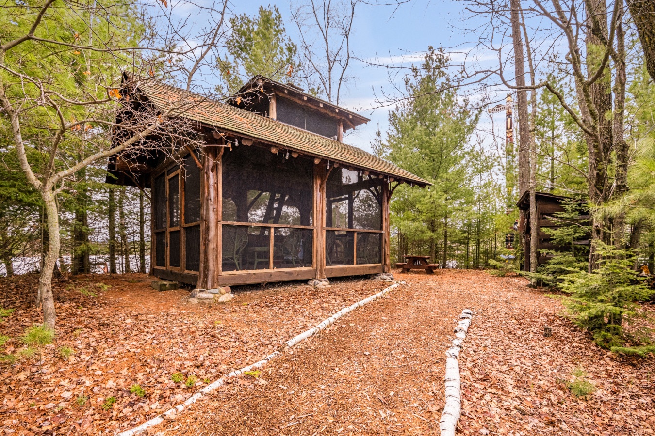 Rustic wooden cabin nestled among towering trees with a charming screened porch for peaceful forest relaxation.
