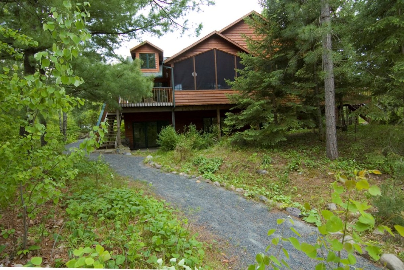 A charming woodland cabin nestled among towering trees offers a peaceful forest retreat with screened porch and natural surroundings.