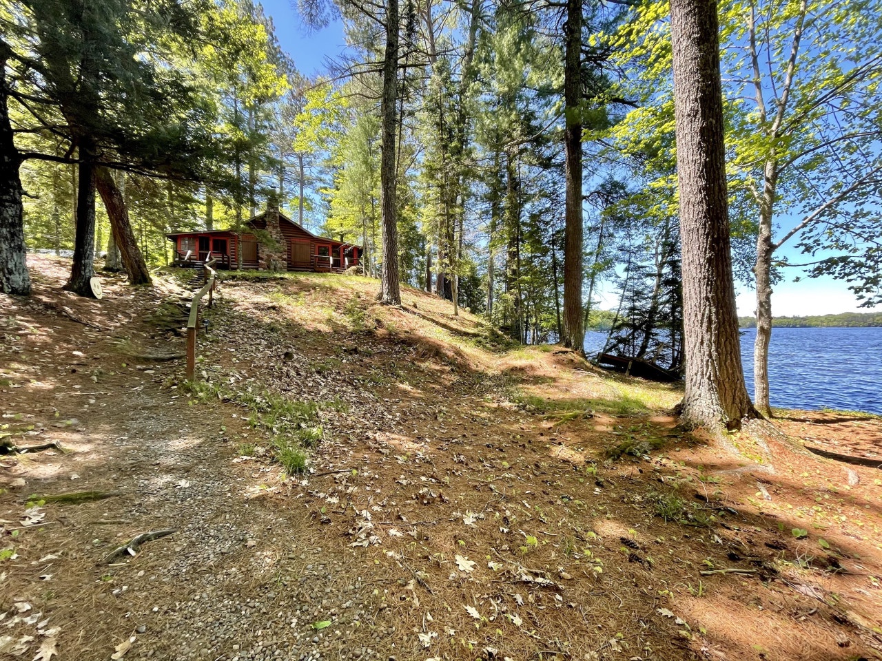 Lakeside cabin retreat nestled among towering trees with direct waterfront access and peaceful forest surroundings.