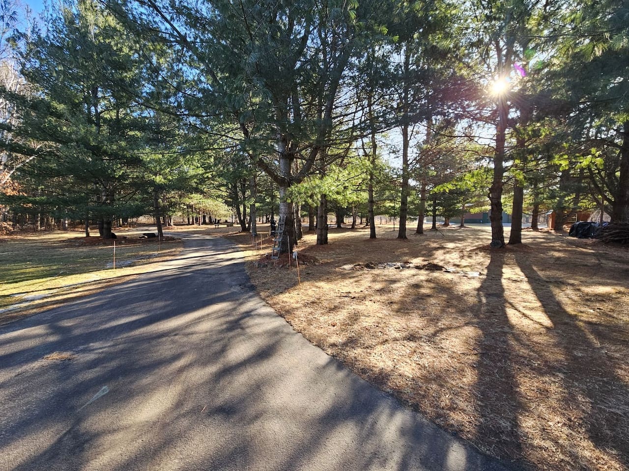 Peaceful tree-lined roads and natural surroundings create a serene setting for your getaway retreat.