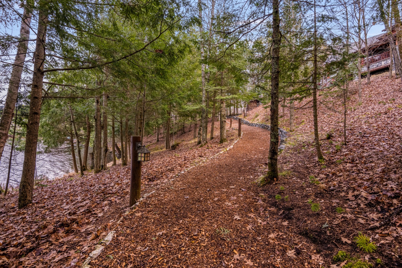 Forest pathways wind through autumn foliage leading to lakeside cabins nestled among towering trees.
