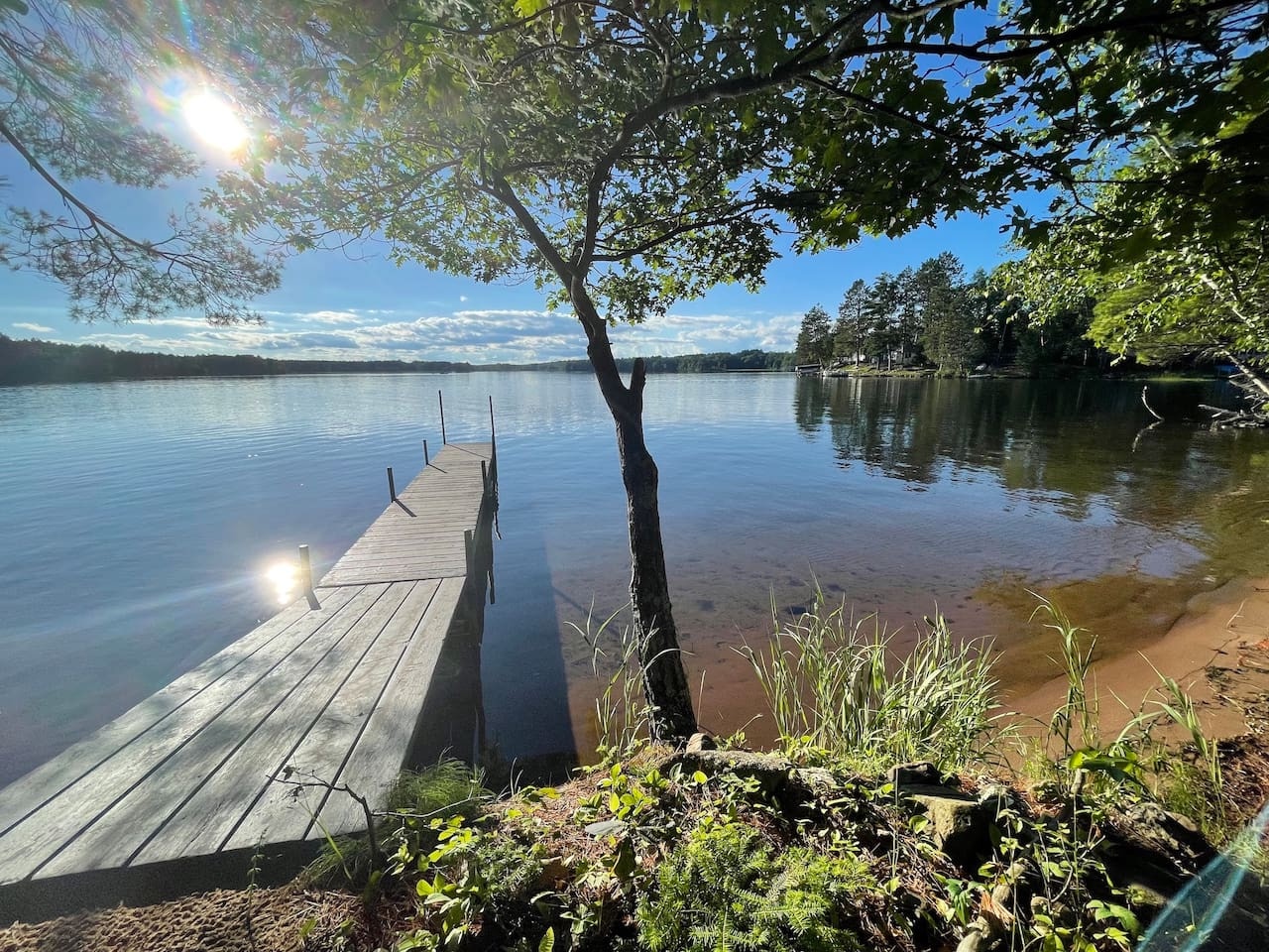 Peaceful lakefront with private dock surrounded by lush trees and clear waters.