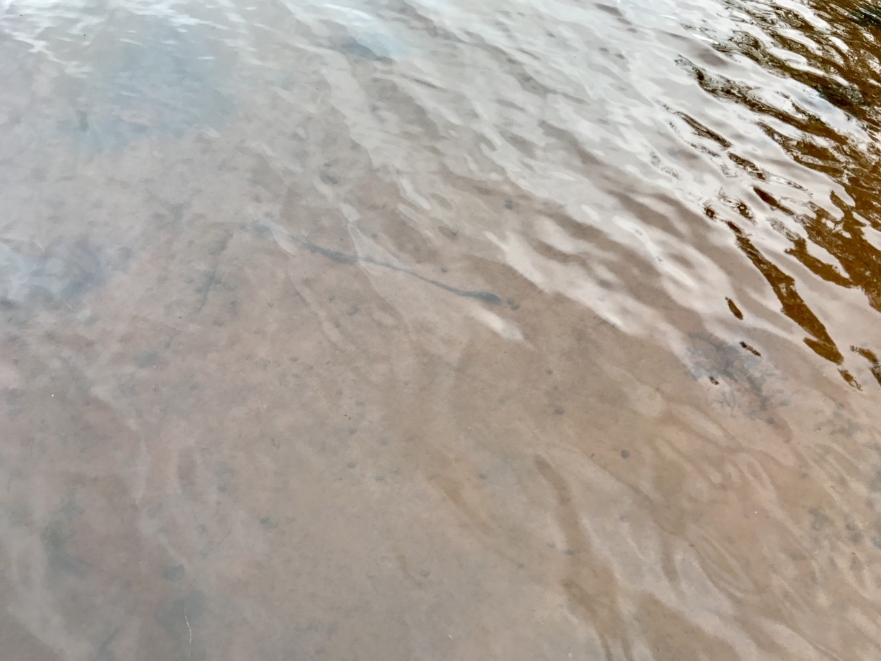 Crystal-clear water creates mesmerizing patterns on pristine sand, where gentle waves meet the shore in perfect harmony.