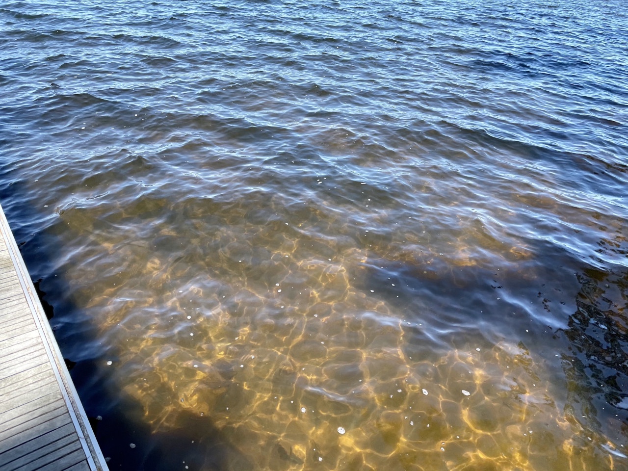 Crystal-clear waters meet gentle waves at your lakefront retreat, where peaceful mornings begin with coffee on the dock.