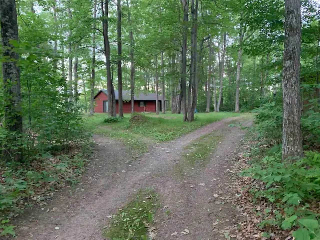 Peaceful cabin nestled in dense forest with private access road and natural woodland surroundings.