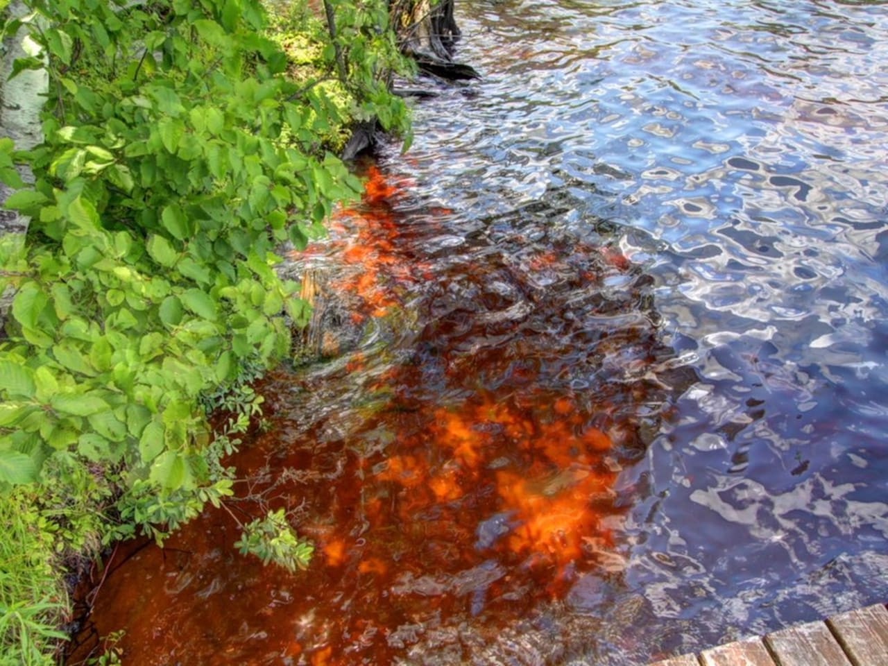 Natural hot spring waters create a stunning display of mineral-rich colors flowing into pristine waters surrounded by lush greenery.