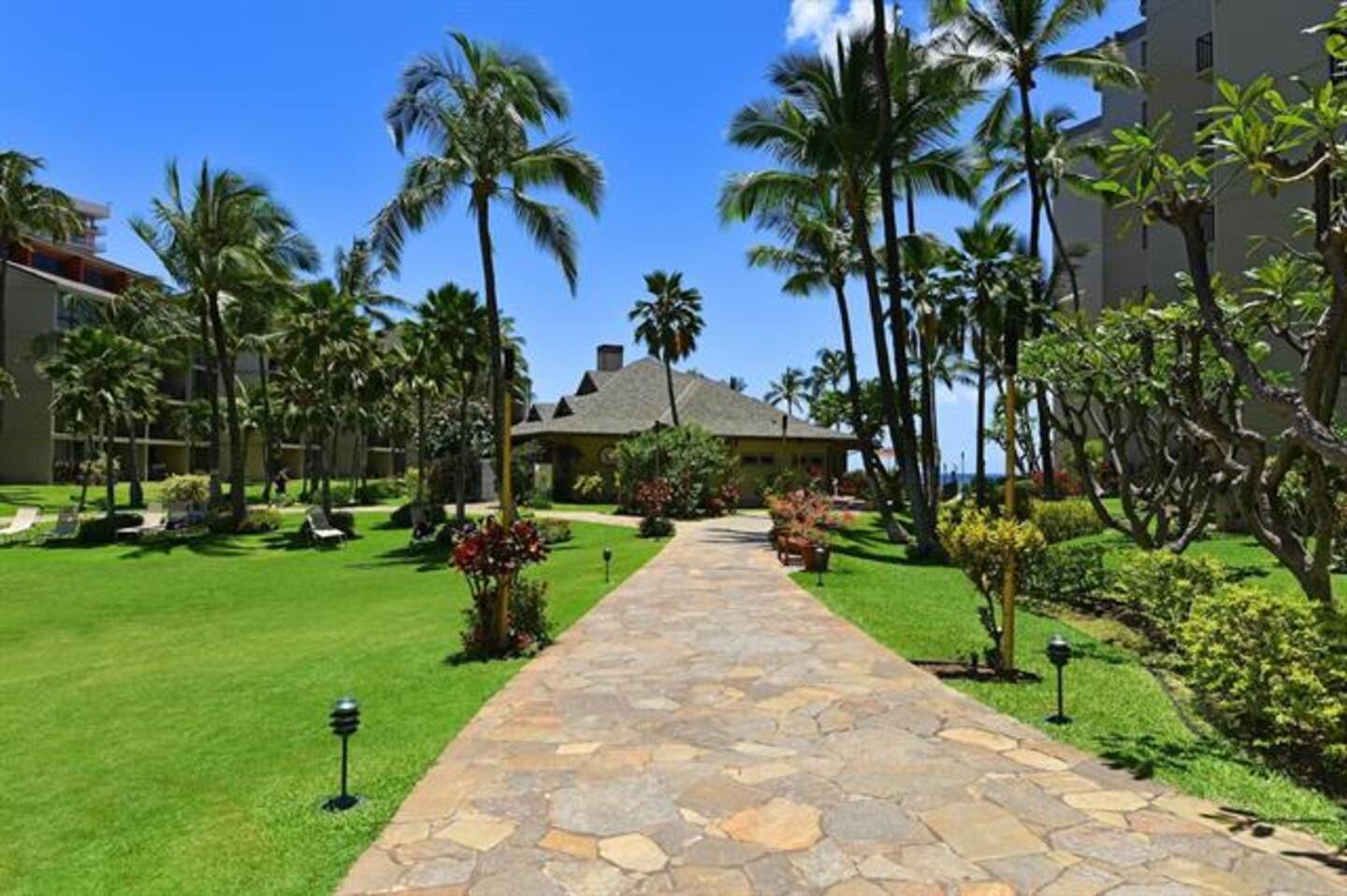 Garden Area