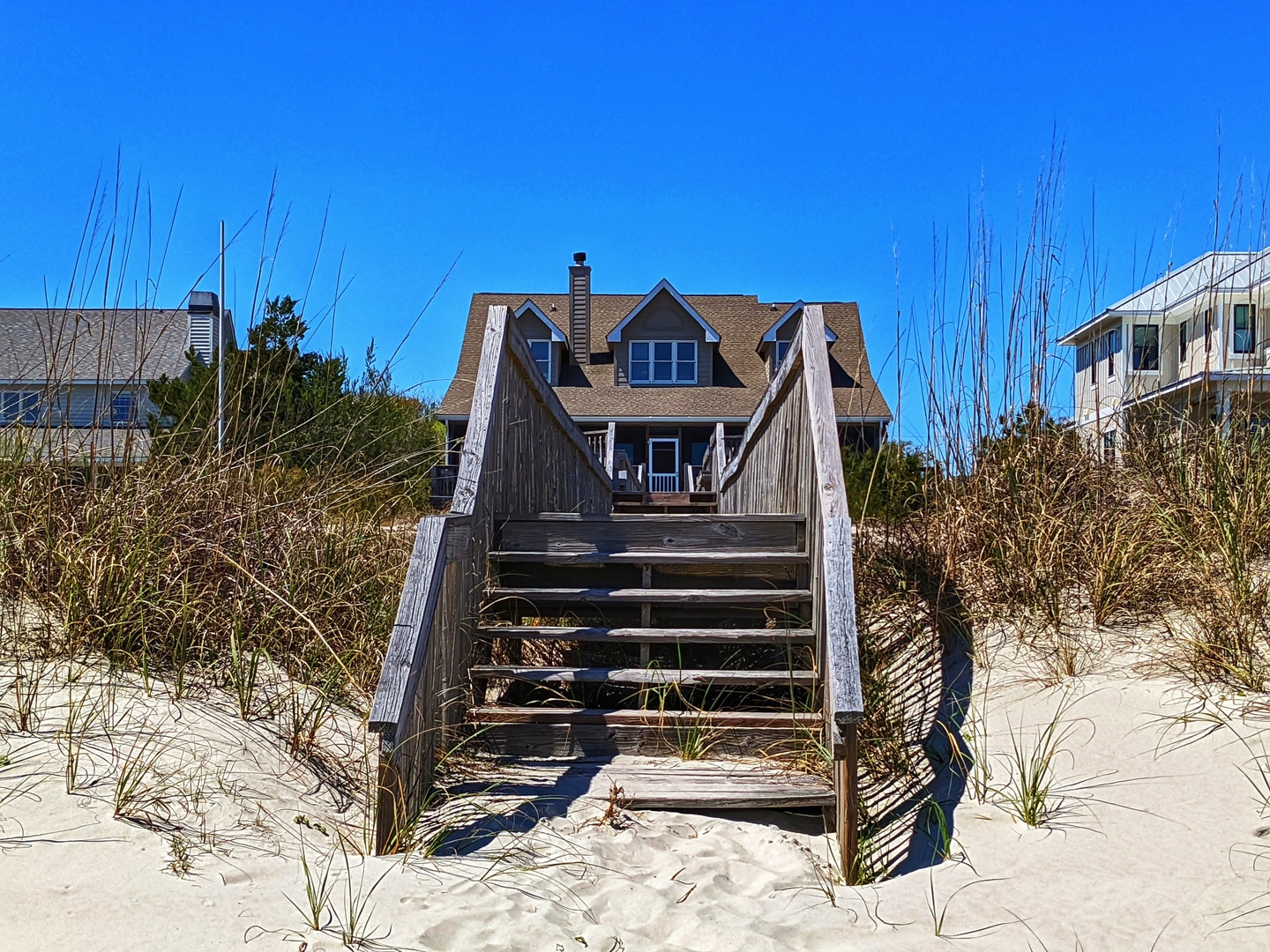 Indigo-Pelican-3-jwsre (82)